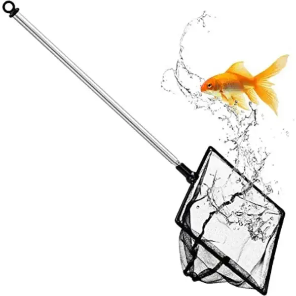 Fish Net