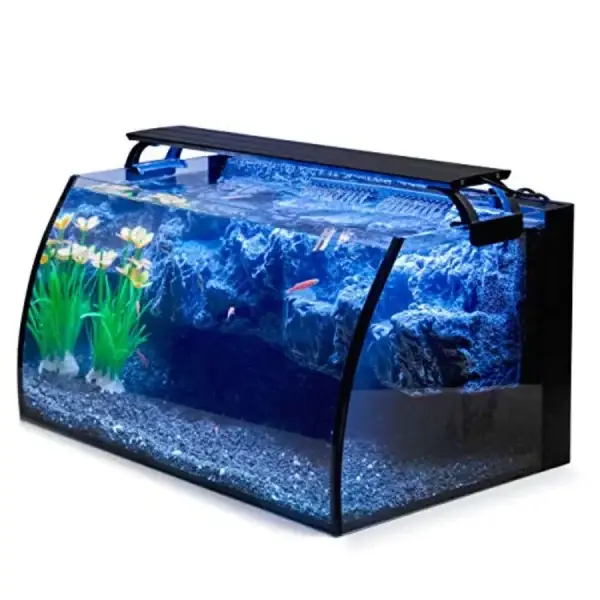 Aquarium Kit for Beginners