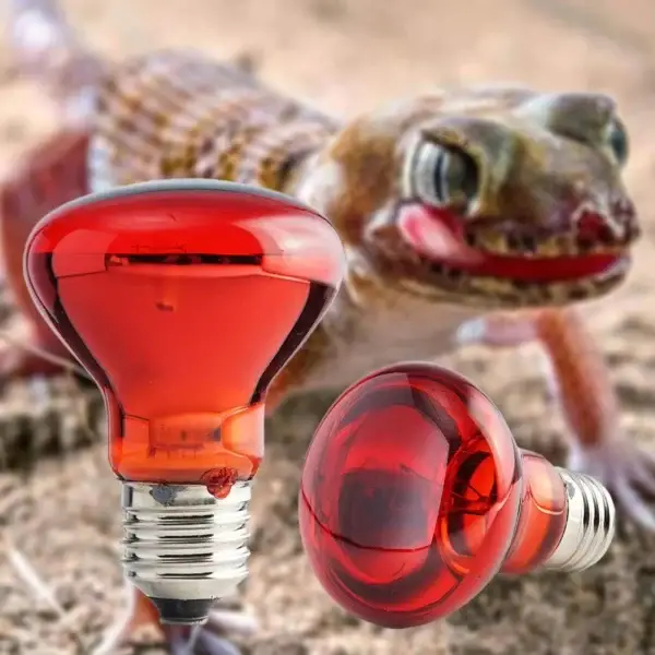 Heating Bulb 25W-100W